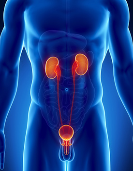 Urology Conditions/Treatments in Los Angeles, CA
